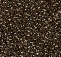 Ковролин Balsan Zenith Roll 755 фото 1 | FLOORDEALER